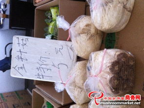 上海江杨农产品批发市场食用菌产品交易现场
